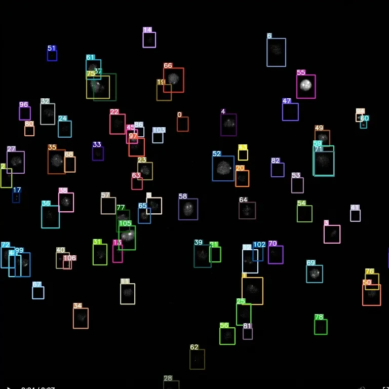 Deep learning box prediction illustration